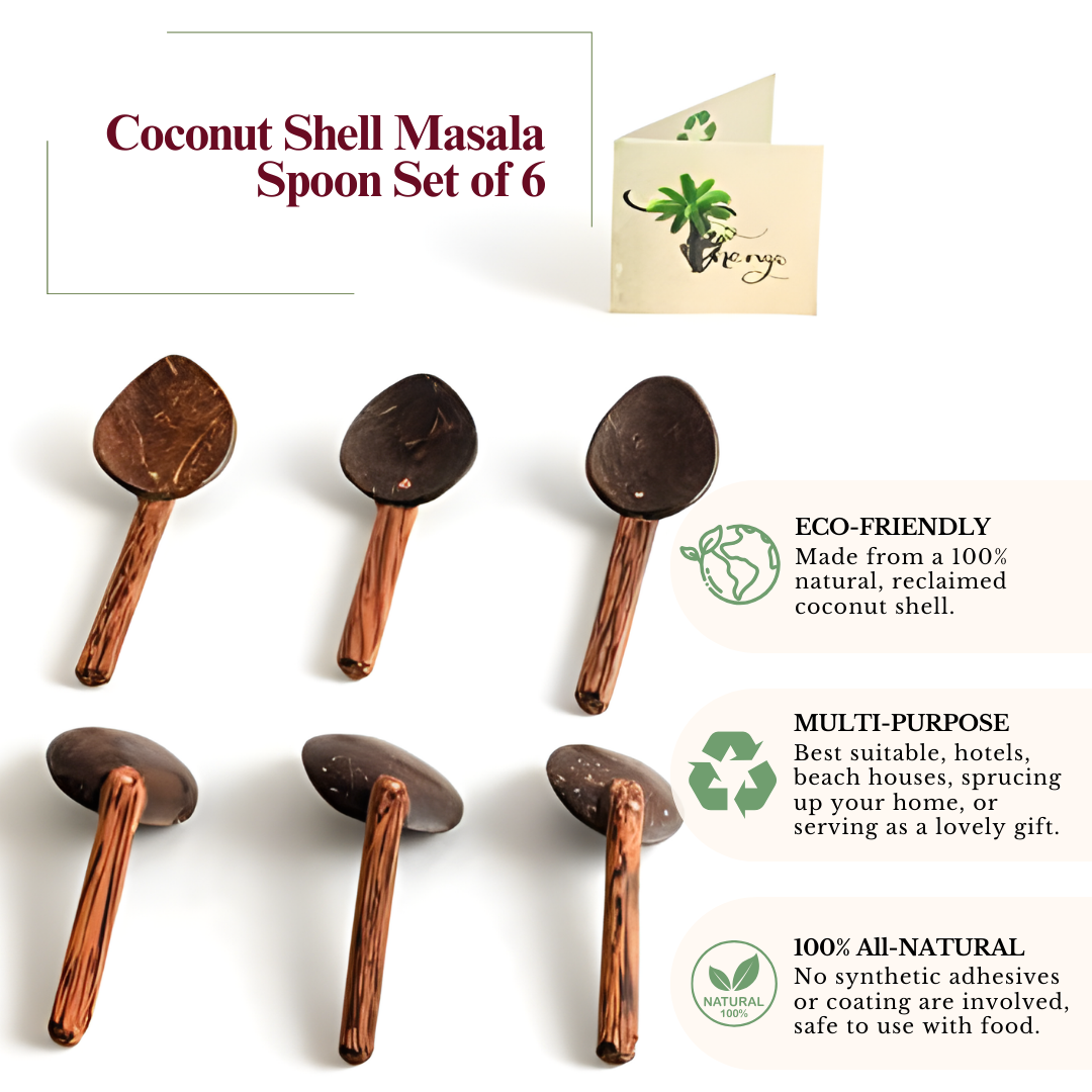 Thenga Coconut Shell Masala Spoon Set of 6 for Small Containers