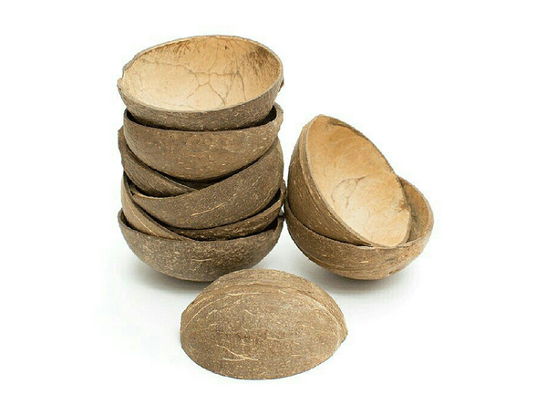 Oval Coconut Shells