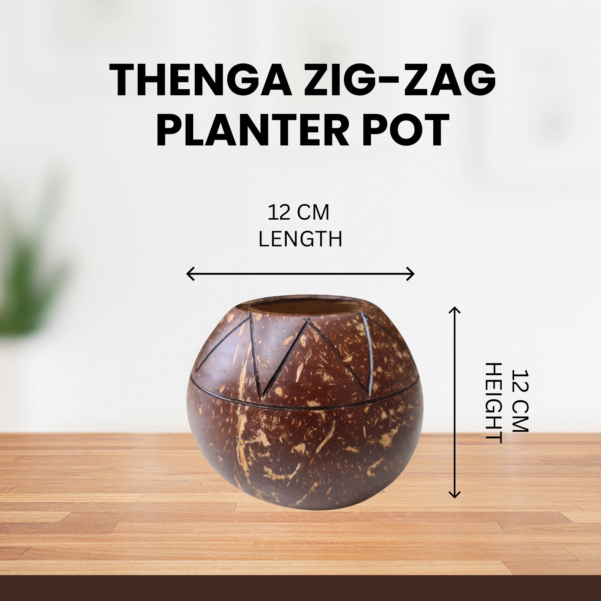 Thenga Coconut Shell Zig Zag Planter Pots | Ideal for Succulents, Small Cacti, Herbs and Small Plants (Set of 1)