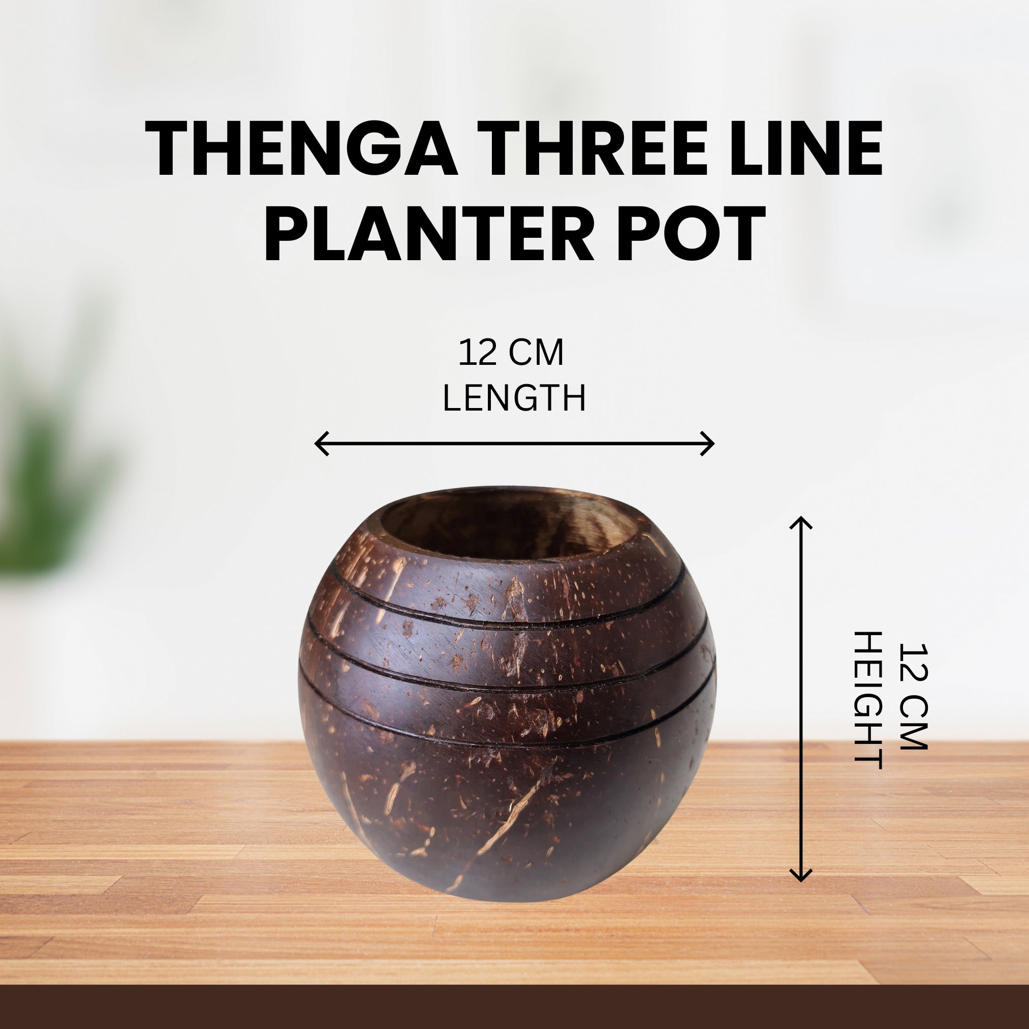 Thenga Triple line Coconut Planter Pot | For Indoor Plants, Succulents (1 Pot)