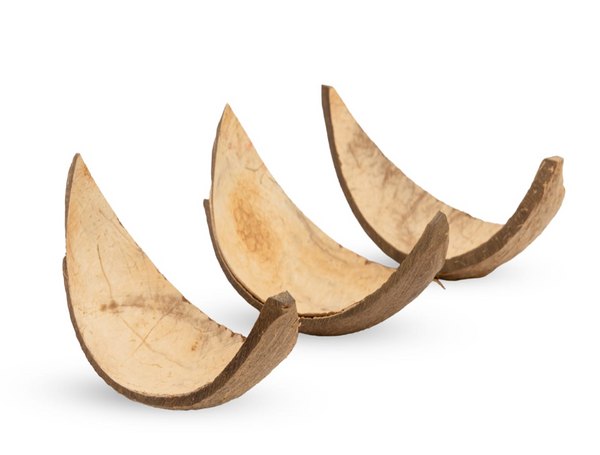 Coconut Shell Boats