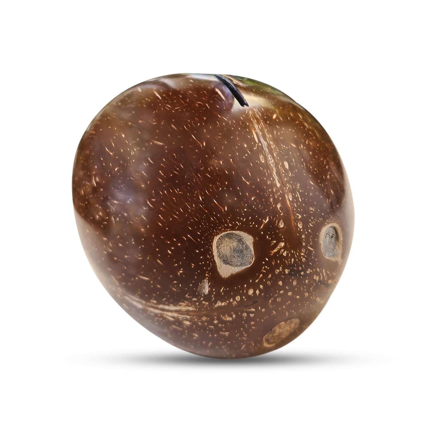 Thenga coconut shell kudukka/piggy bank