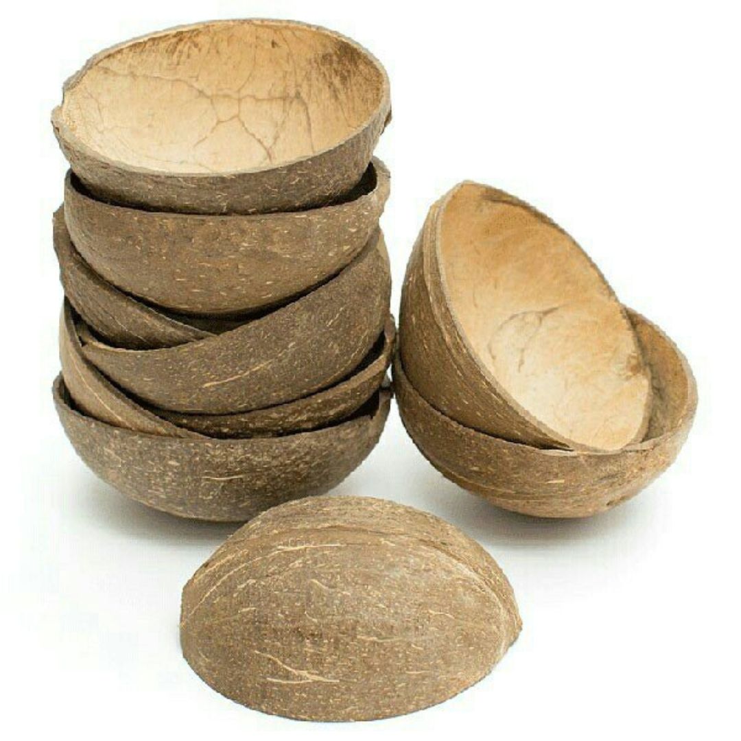 Thenga Oval Coconut Shell Bowls | Perfect for Serving Desserts, Snacks - 150 ML (Set of 10)