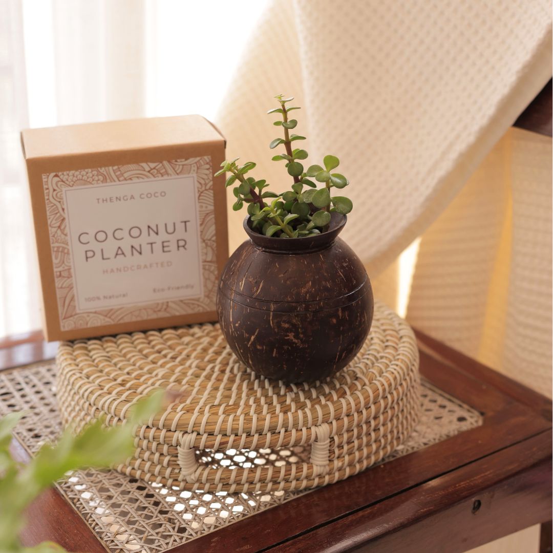  Thenga Eco-friendly garden pots