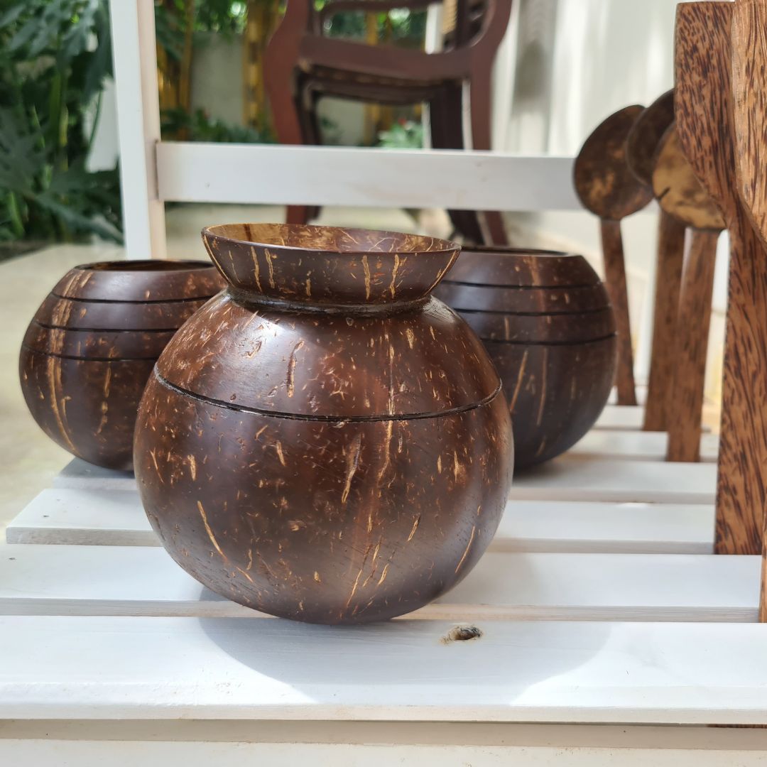 Thenga Pot Shaped Coconut Planter | Indoor Plants, Succulents (1 Pot)