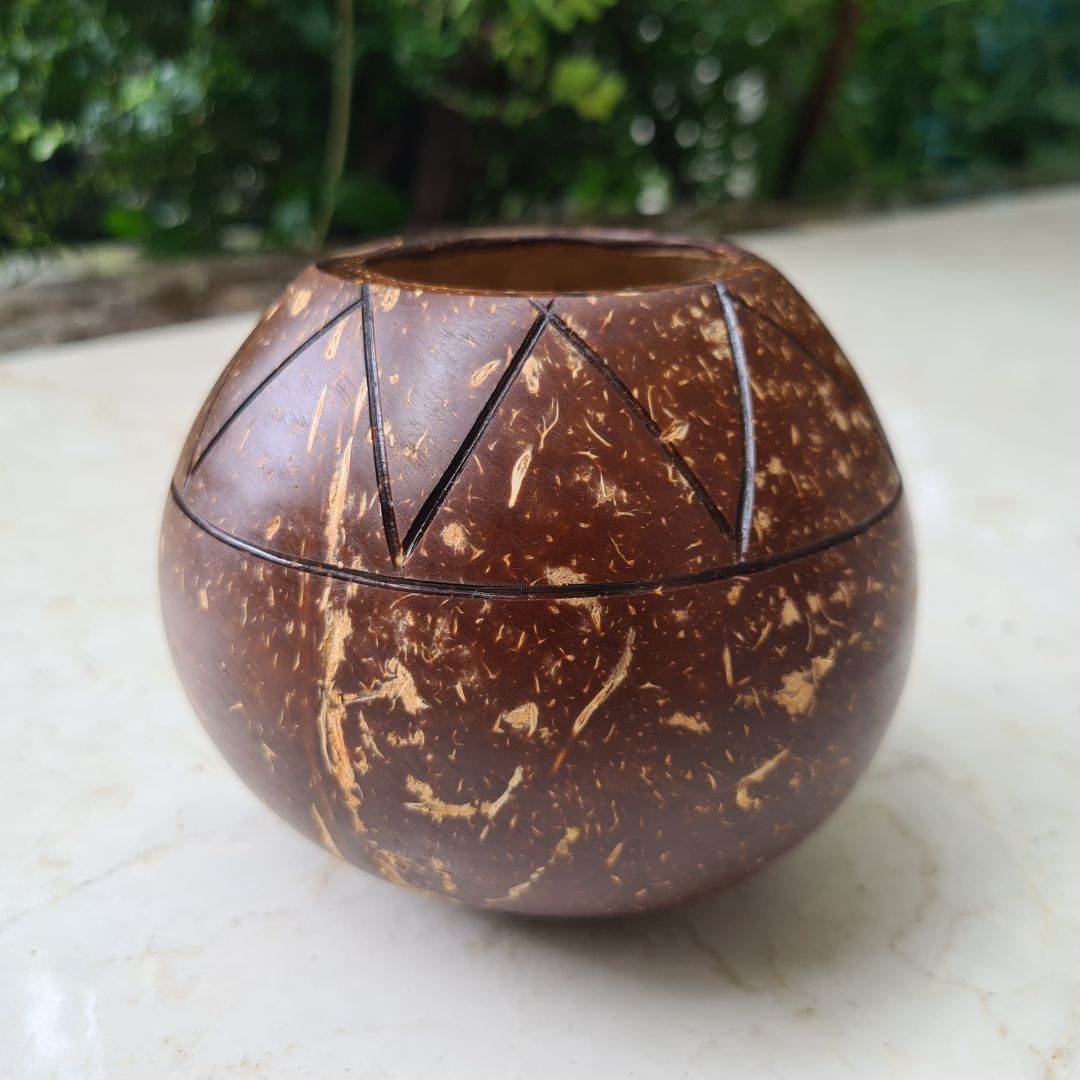 Thenga Zig-Zag Coconut Planter | Indoor Plants, Succulents (1 Pot)