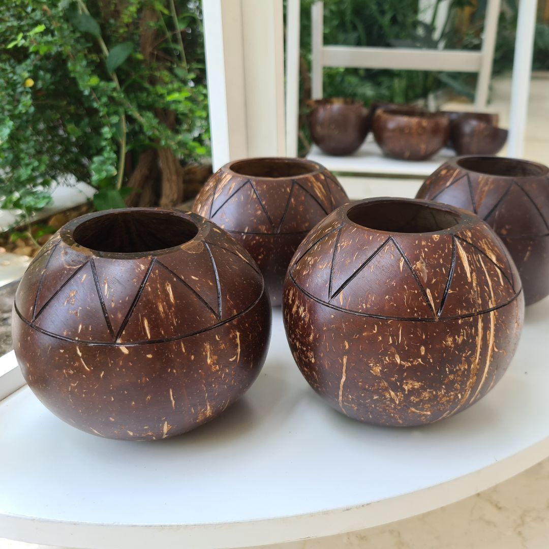 Coconut Shell Planter Pots Wholesale