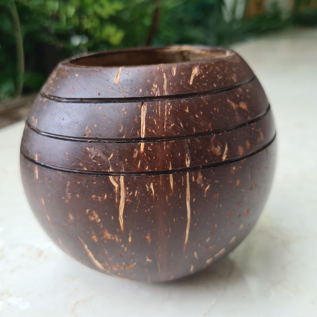 Thenga Triple line Coconut Planter Pot | For Indoor Plants, Succulents (1 Pot)