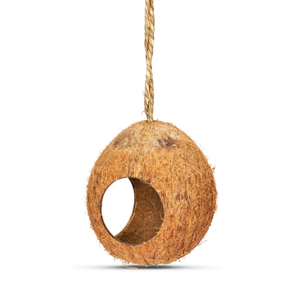 Coconut Bird Feeder with 3 Holes
