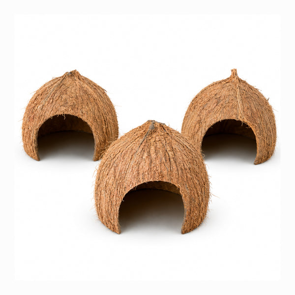 Coconut Hideout