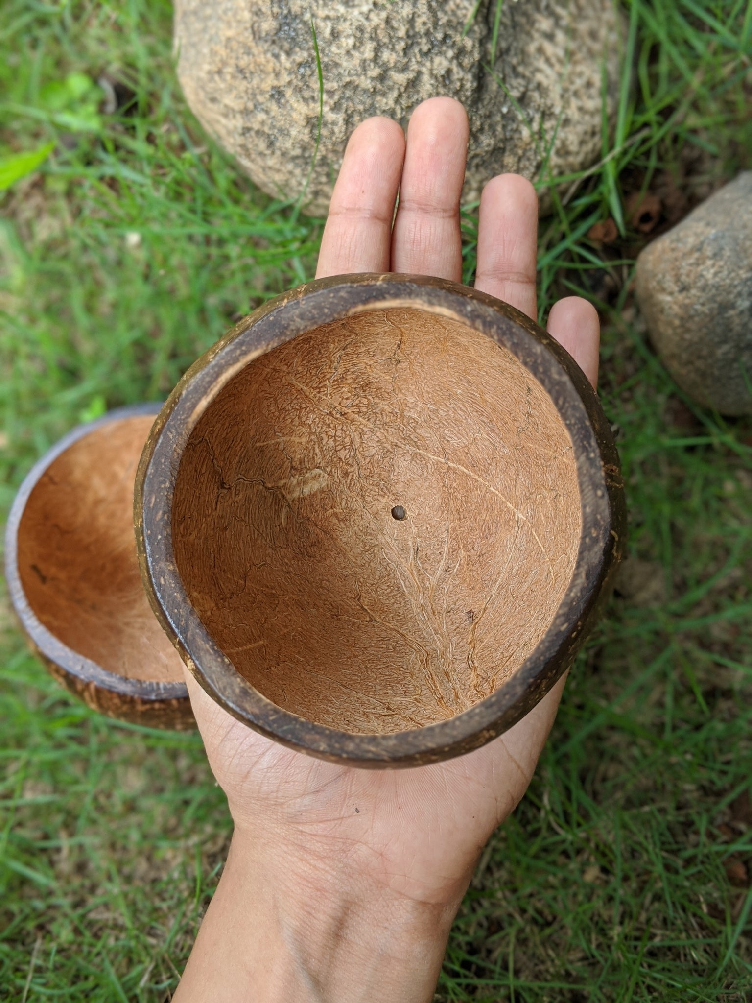 Thenga Coconut Planter | Indoor Plant Pots | Handmade…