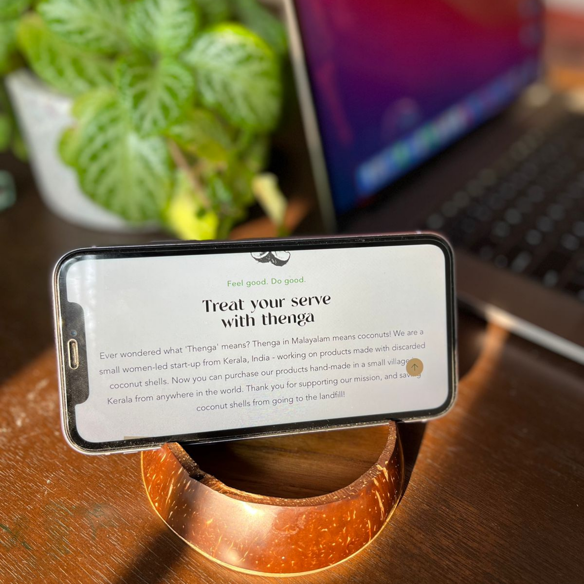 Coconut Shell Mobile Stand