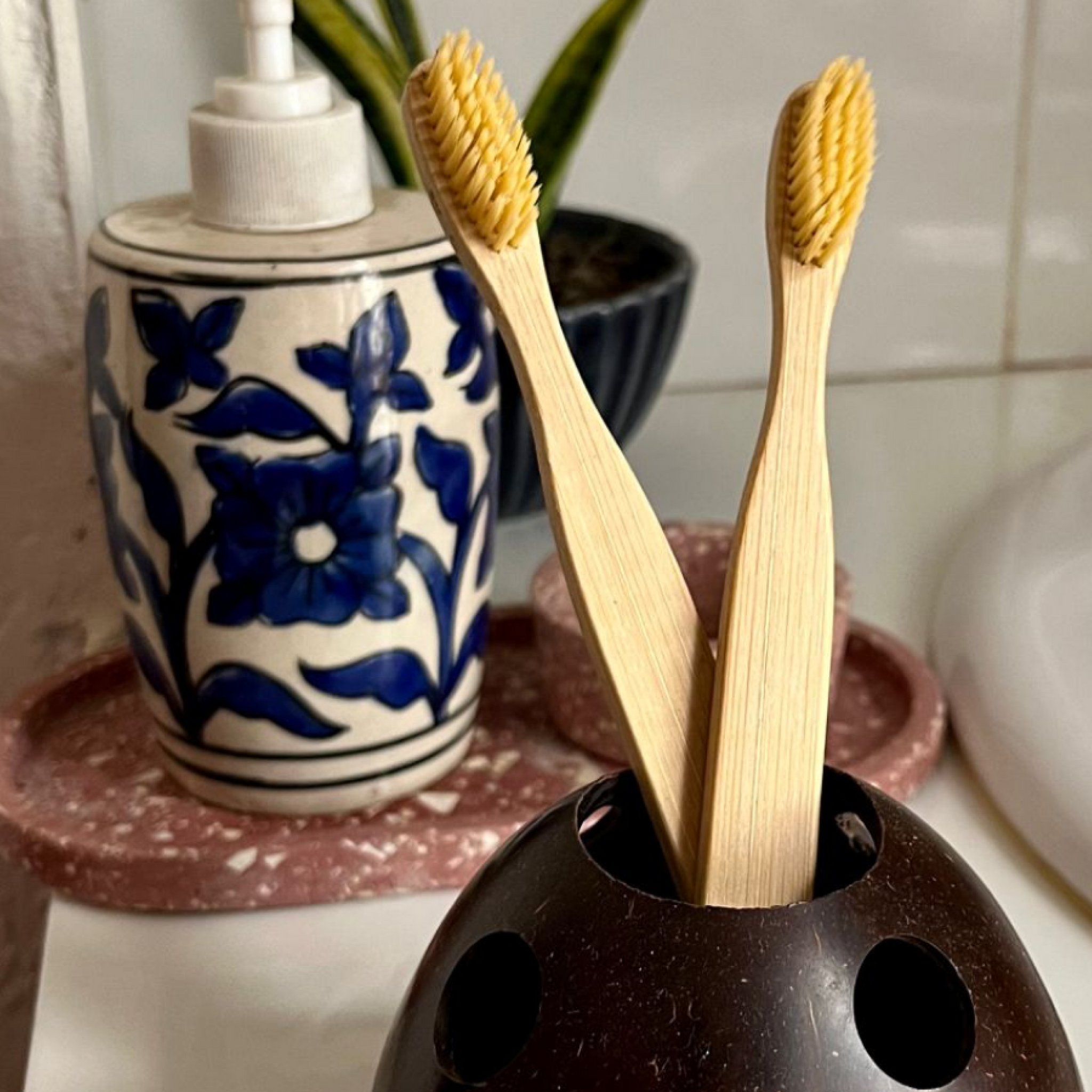 Thenga Eco-Friendly Coconut Shell Toothbrush Holder