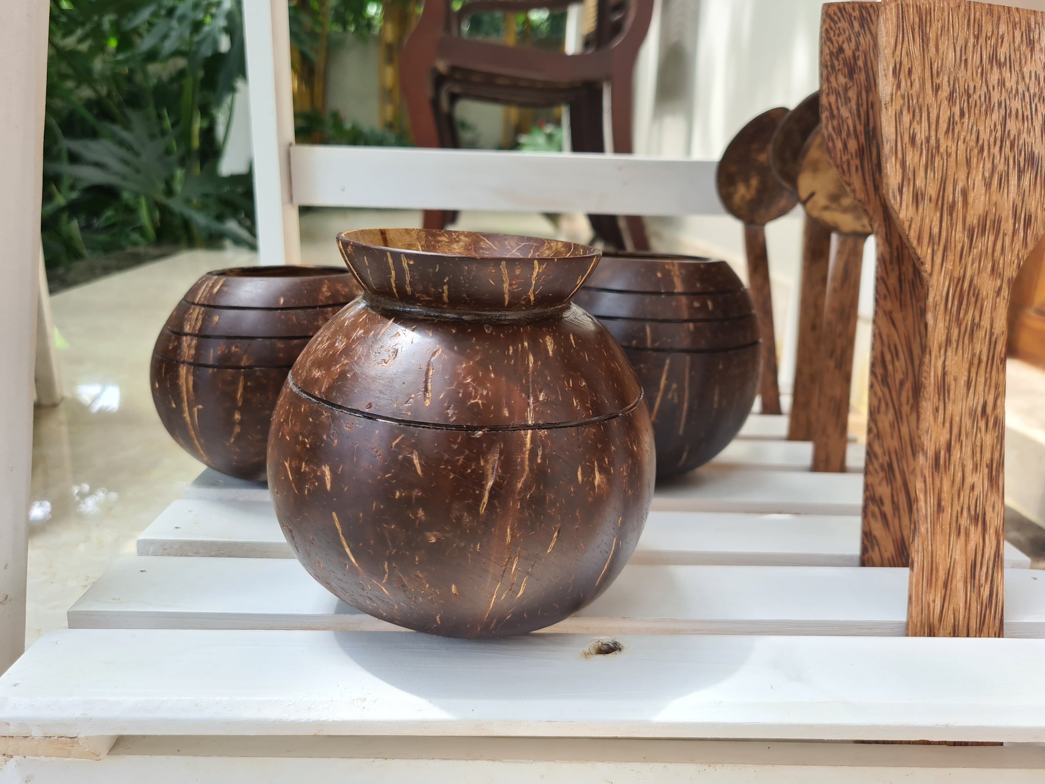 Thenga Coconut Shell Indoor Planter Pot