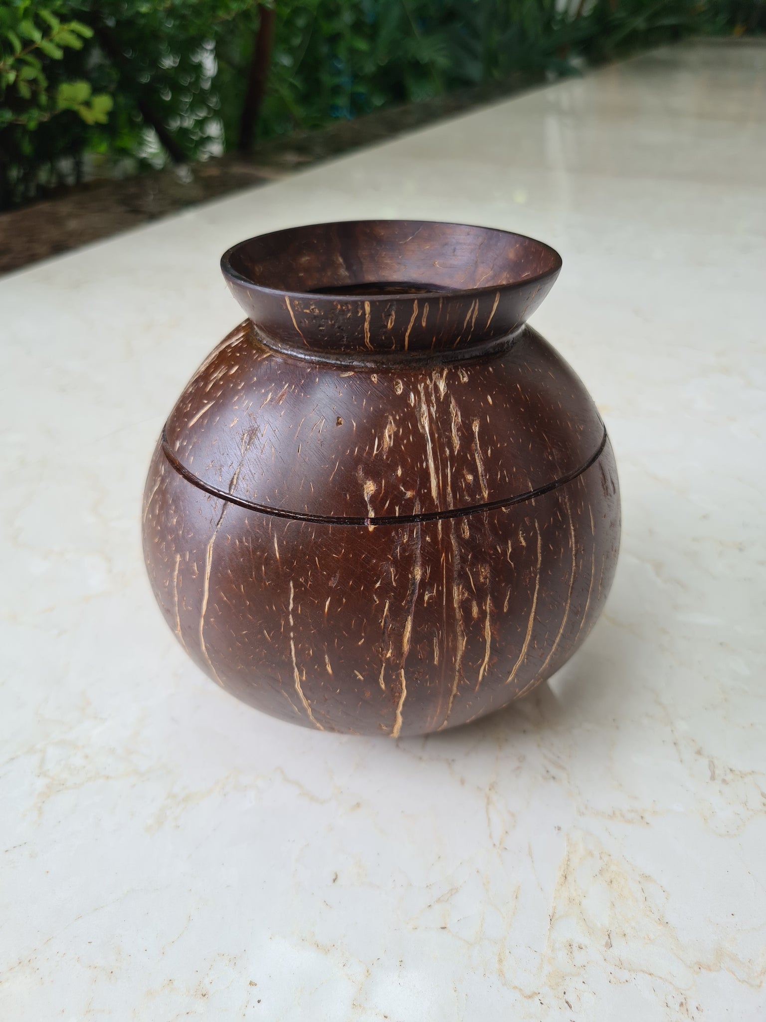 Coconut Shell Indoor Planter Pot