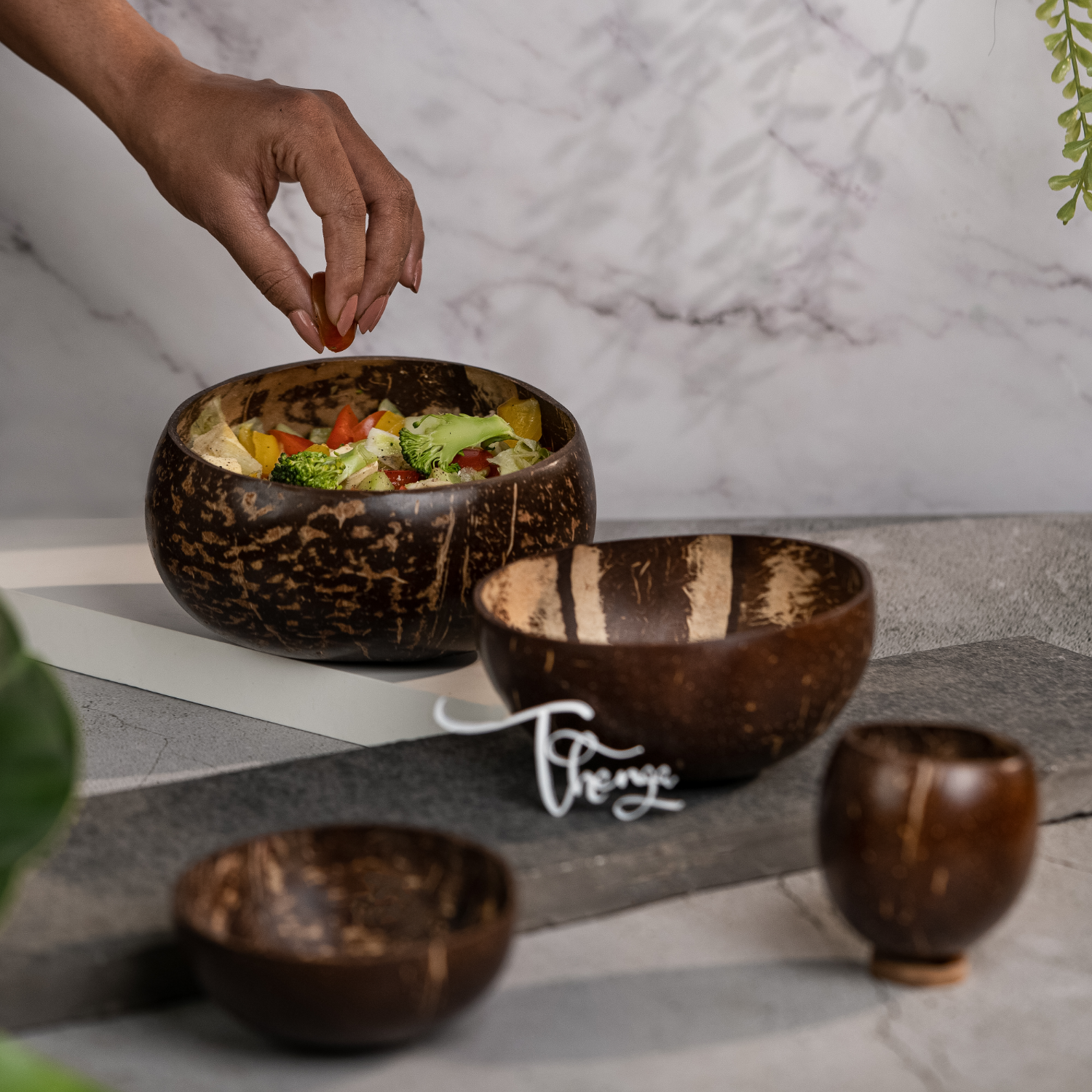 Thenga Coconut Bowls