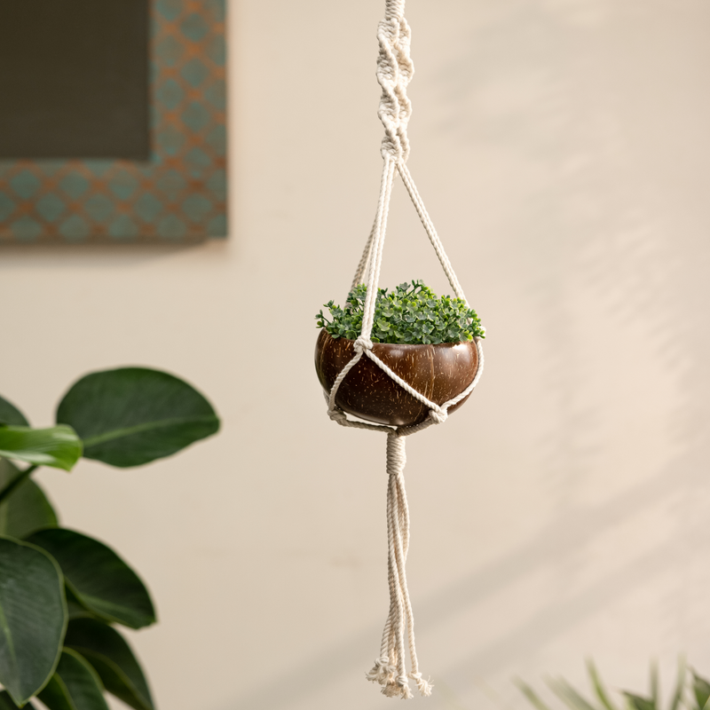 bronze plant hanger Coconut Shell Hanging Planter