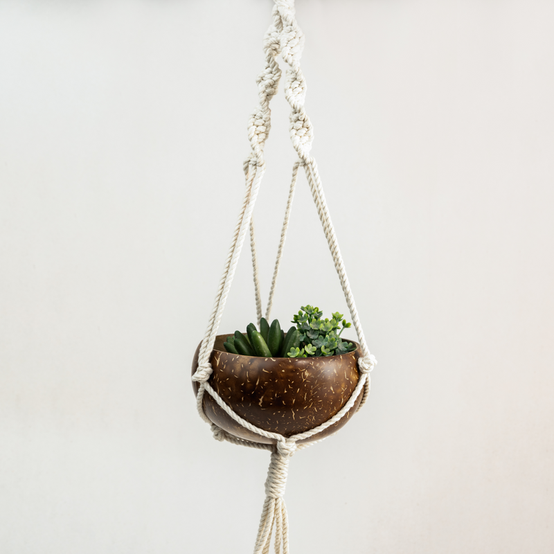 coconut plant hanger Coconut Shell Hanging Planter