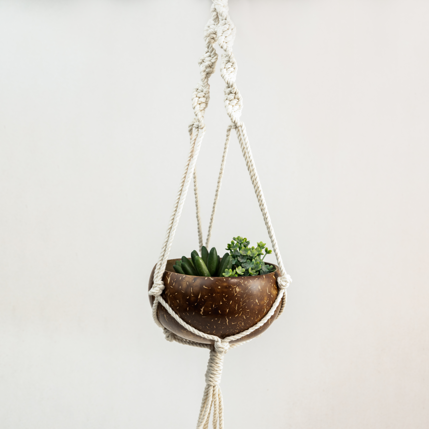 Coconut Shell Hanging Planter