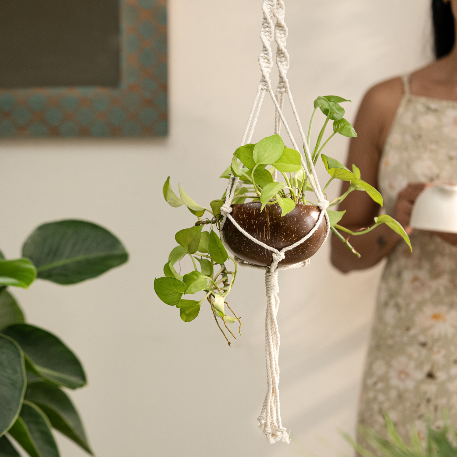 Plant Hanger Coconut Shell